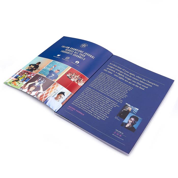 Champions Journal Issue 14 (Davies)