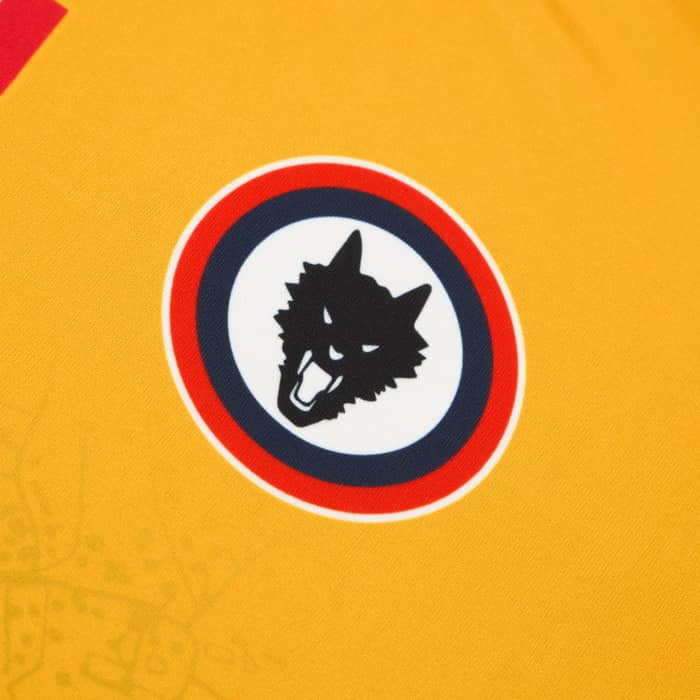 2024-25 Campobasso Third Shirt