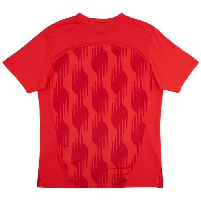 2024-25 Lens Puma Pre-Match Shirt