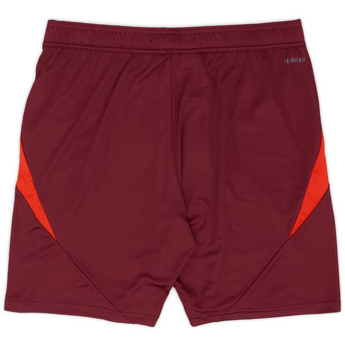 2024-25 Bayern Munich adidas European Training Shorts