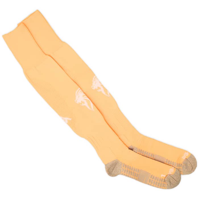 2023-24 Brescia GK Home Socks (EU43-46)