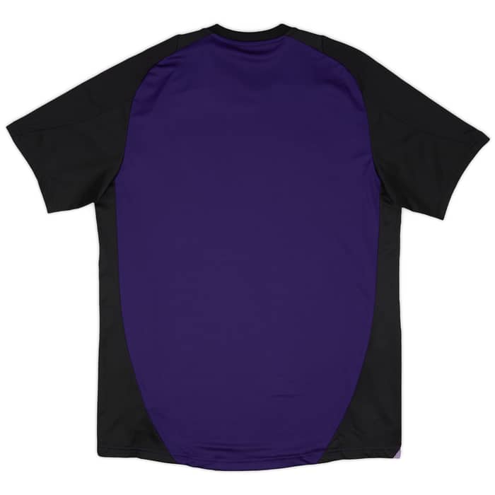 2024-25 Germany adidas Training Shirt