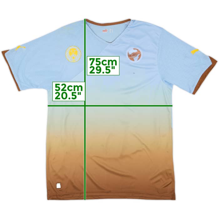 2010-11 Africa Unity Special Edition Third Shirt Africa #10 - 4/10 - (L)