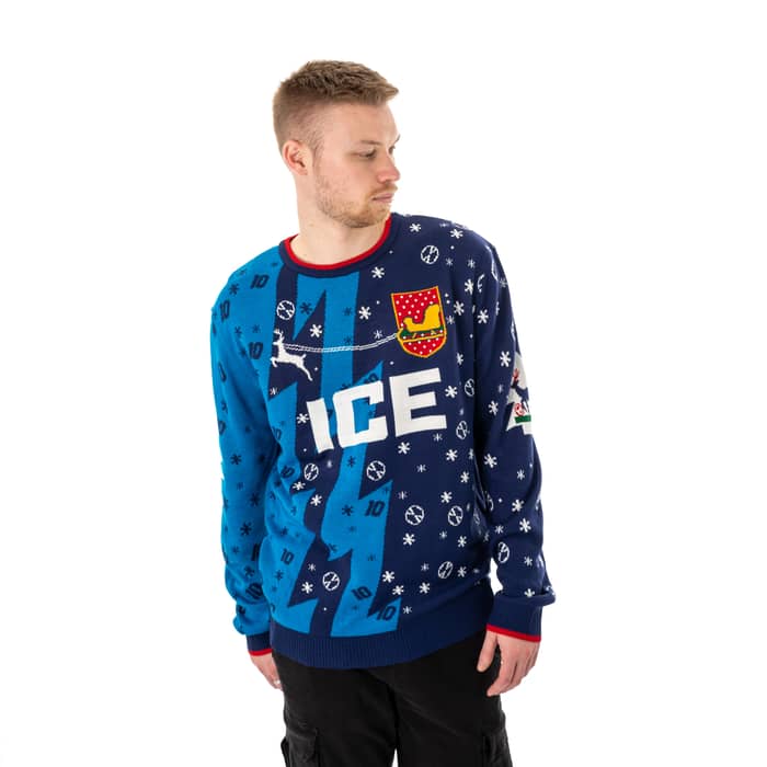 Bergkamp #10 Wonderland Christmas Jumper