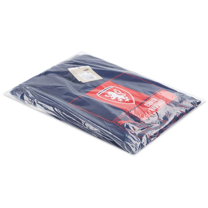 2022-23 Czech Republic Puma Core Hooded Top