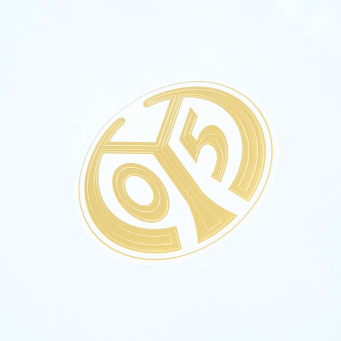 2024-25 FSV Mainz Third Shirt
