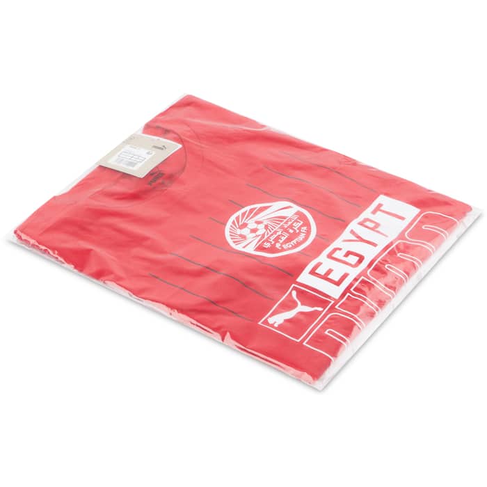 2022-23 Egypt Puma Core Tee