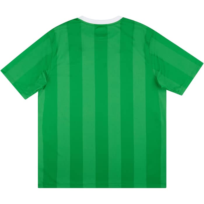 2010-11 Northern Ireland Home Shirt