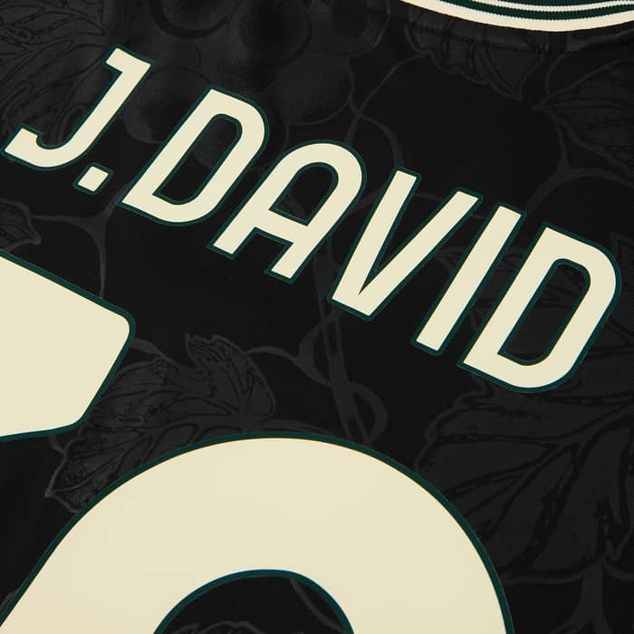 2025-26 Juventus Third Shirt J.David #30