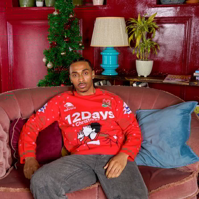 Michu #9 12 Days Christmas Jumper