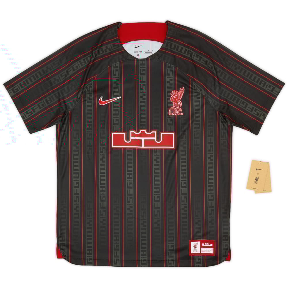 2023-24 Liverpool Nike x Lebron James Training Shirt (L)