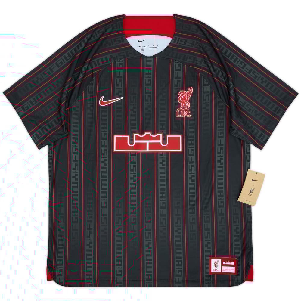 2023-24 Liverpool Nike x LeBron James Training Shirt (XL)