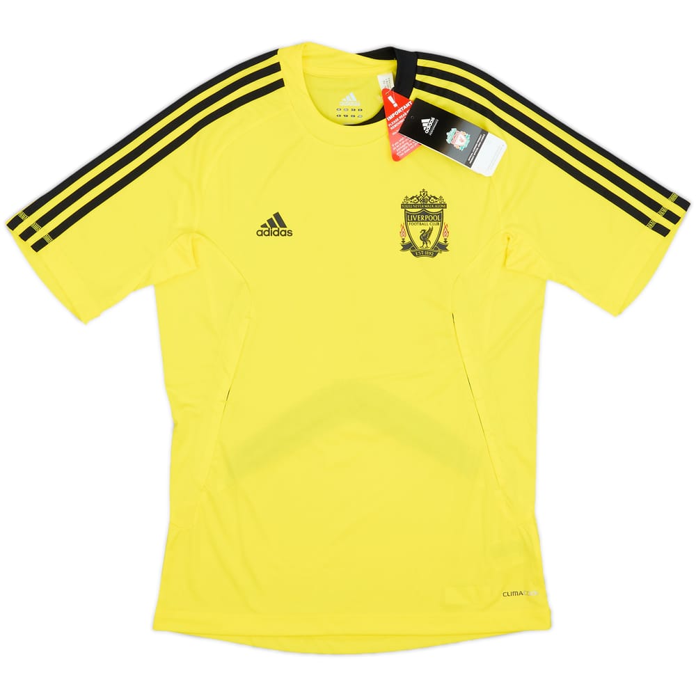 2010-11 Liverpool adidas Training Shirt (S)