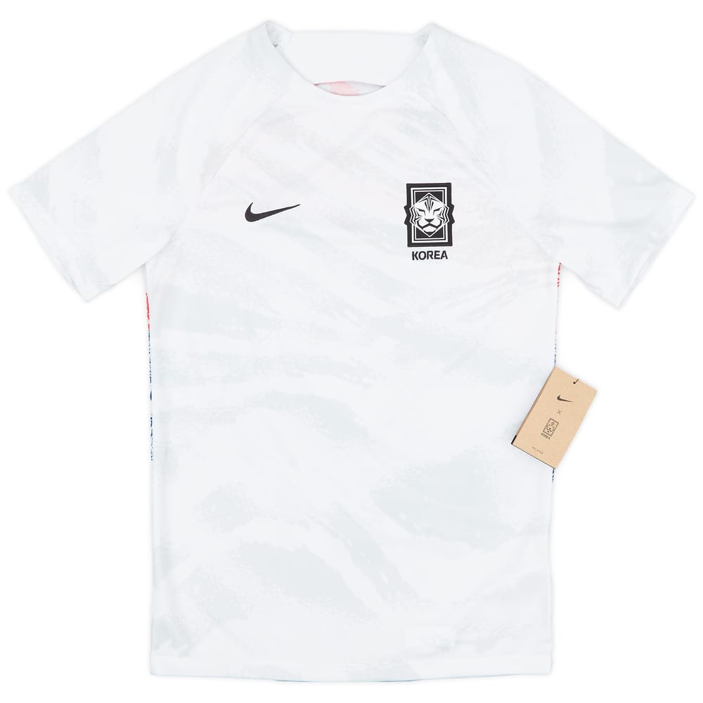 2022 South Korea Nike Training Shirt (S)