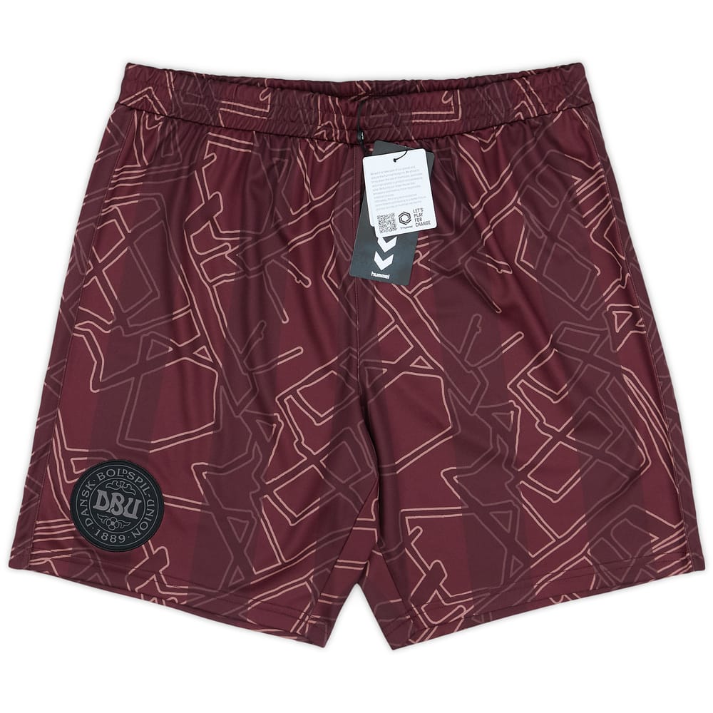 2024-25 Denmark Special Edition Hummel x Halo Shorts