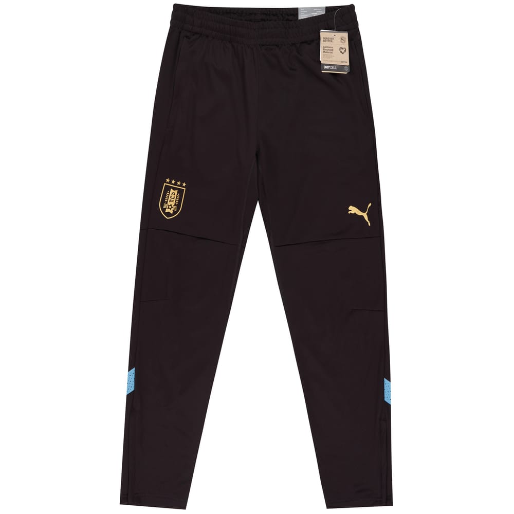 2022-23 Uruguay Puma Training Pants/Bottoms