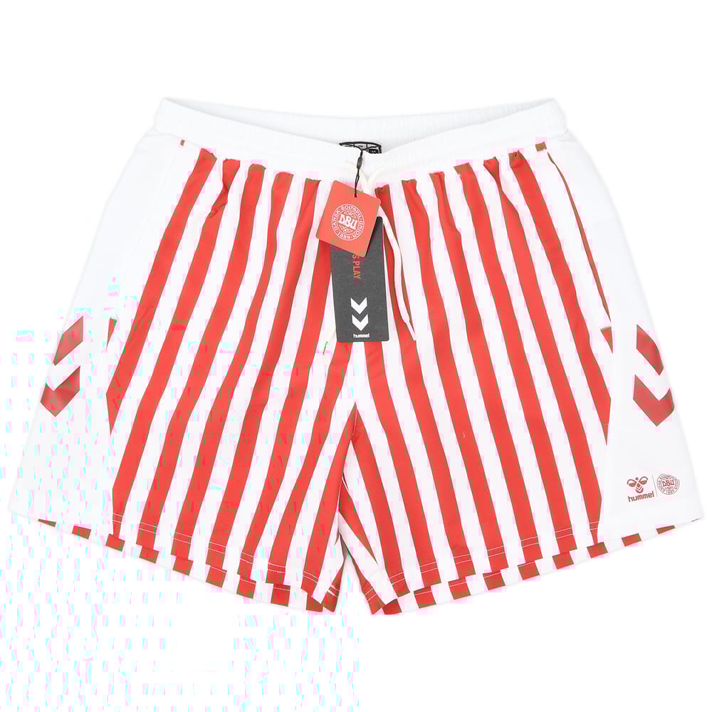 2024-25 Denmark Hummel Swim Shorts