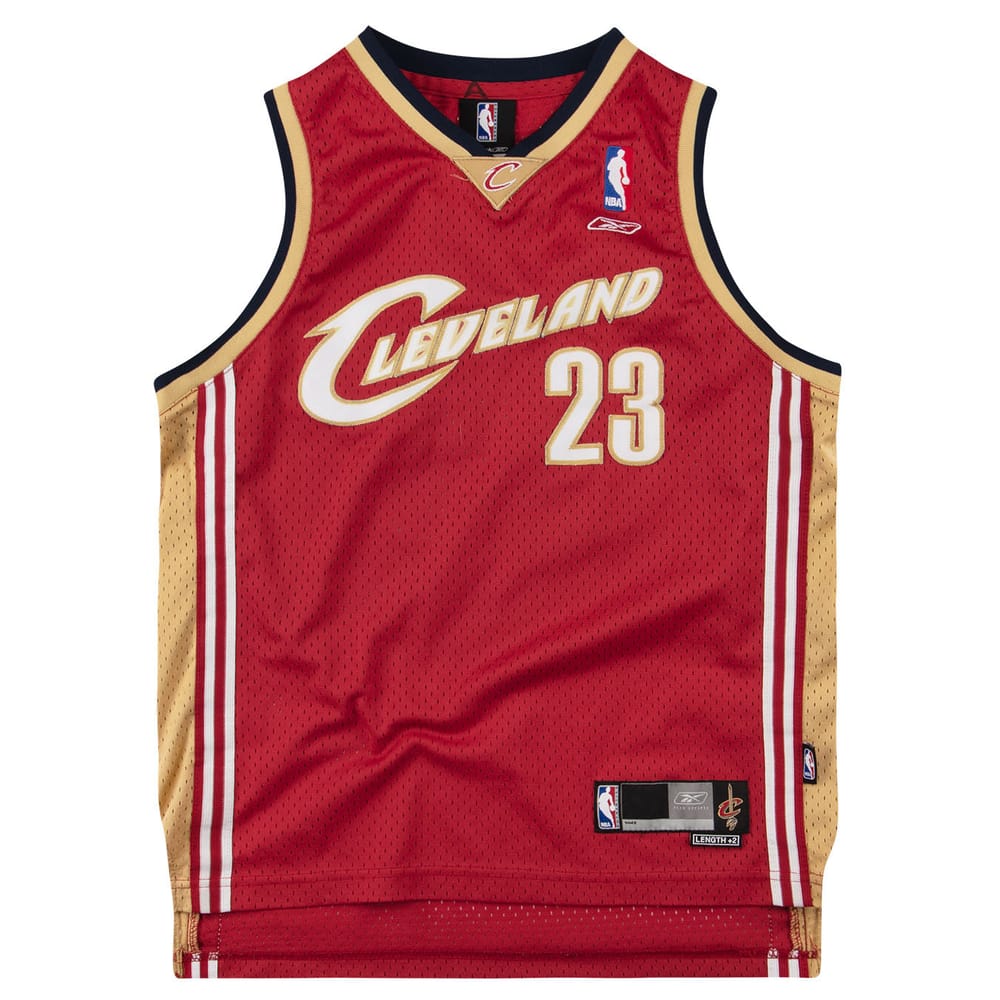2004-06 Cleveland Cavaliers James #23 Reebok Swingman Jersey (Away) Y