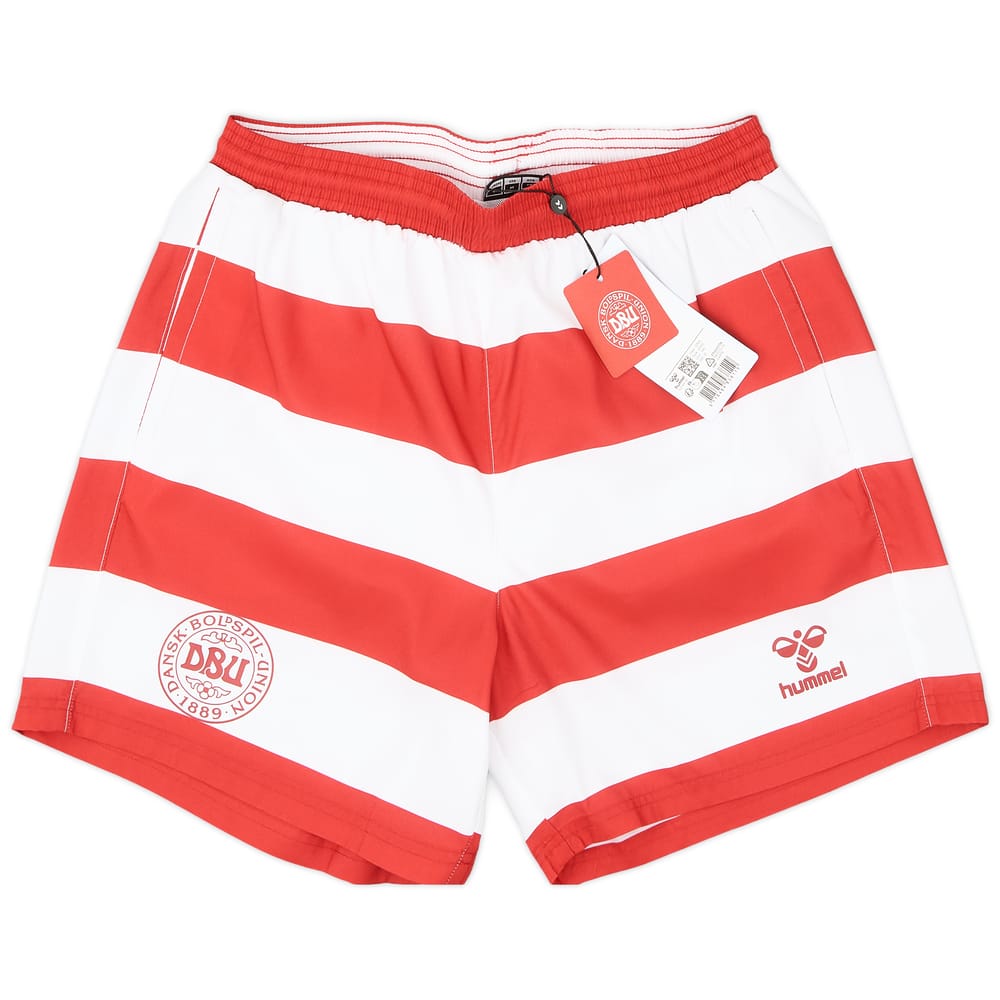 2024-25 Denmark Hummel Swim Shorts
