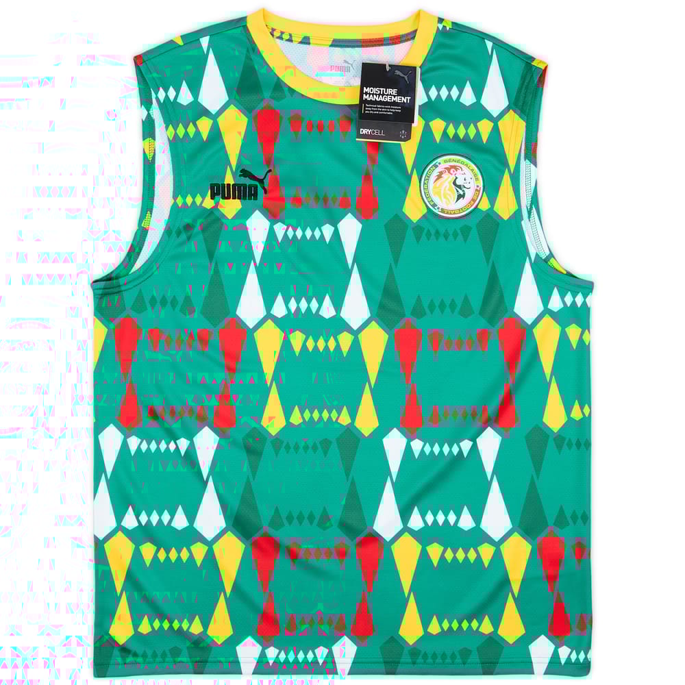 2023-24 Senegal Puma FtblCulture Vest