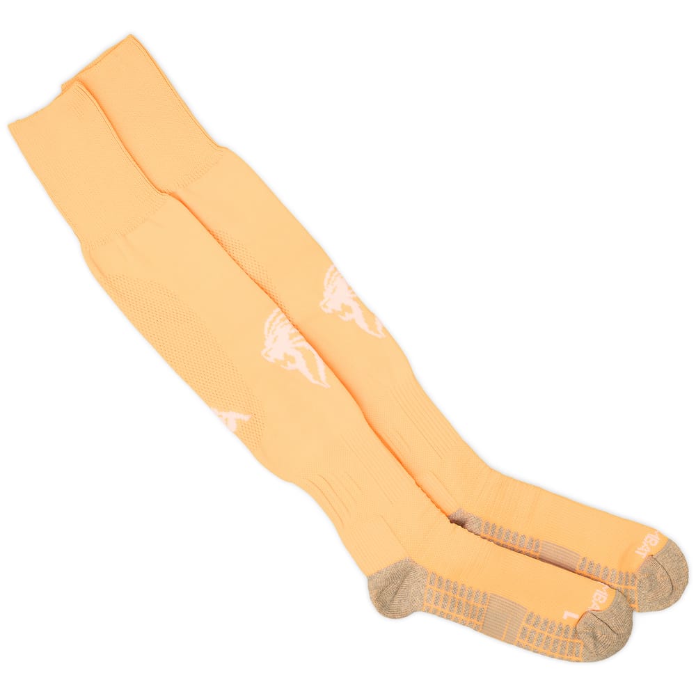 2023-24 Brescia GK Home Socks (EU43-46)
