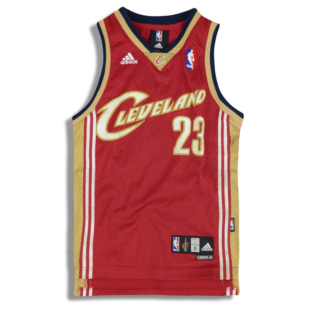 2006-10 Cleveland Cavaliers James #23 adidas Swingman Jersey (Away) Y