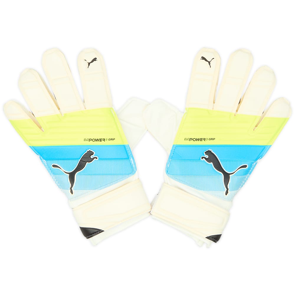 Puma evoPower Grip 3 GK Gloves (Size 6)