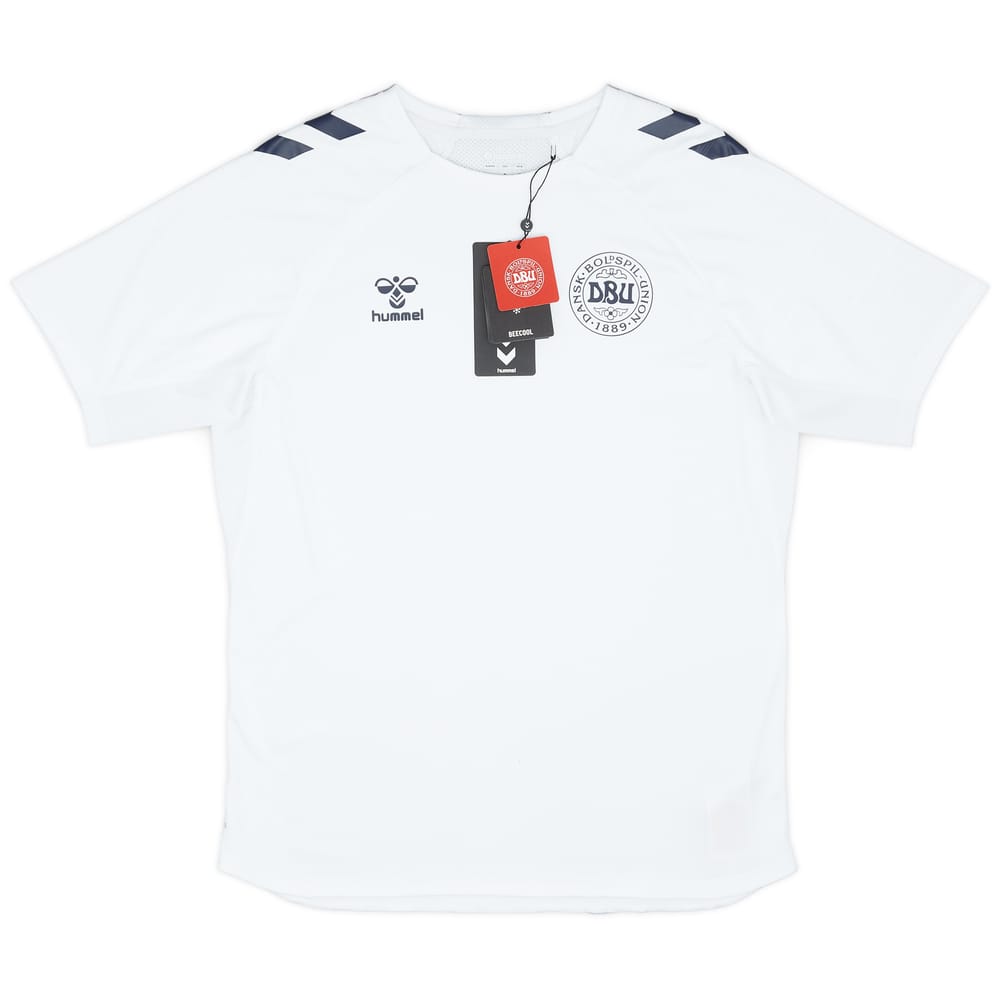 2024-25 Denmark Hummel Training Shirt