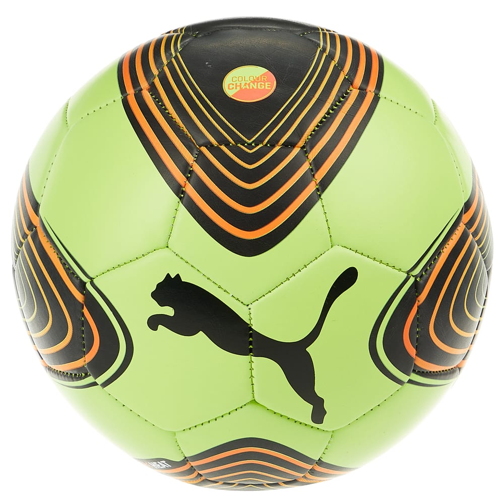 Puma Future Heat Official Ball (3)