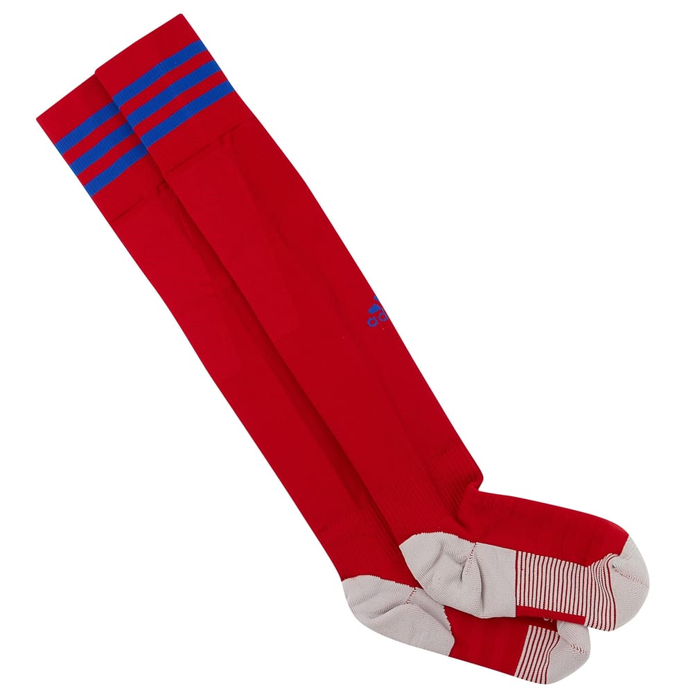 2020-22 FC Basel Home Socks