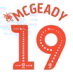 2018-20 Sunderland McGeady #19 EFL Name Set