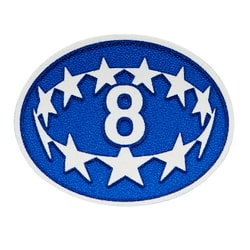 2023-25 UEFA Womens Champions League Lyon 8 Times Badge Of Honour Player Issue Patch