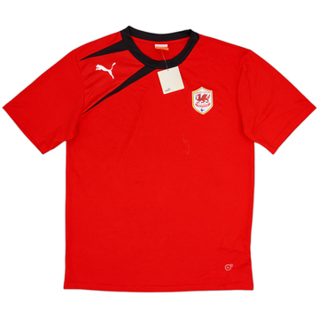 2012-13 Cardiff City Puma Training Shirt (L)