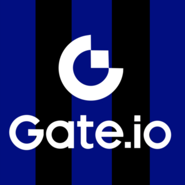 2024-25 Inter Milan Gate IO White Player Issue Sleeve Sponsor