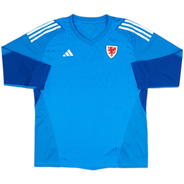 2023-24 Wales GK Away Shirt (Women's)