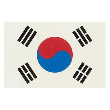 2018 South Korea World Cup Player Issue Sleeve Patch