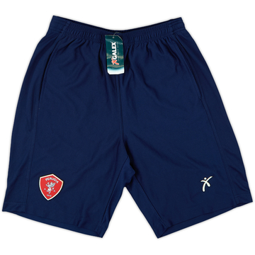2002-03 Perugia Galex Training Shorts (L)