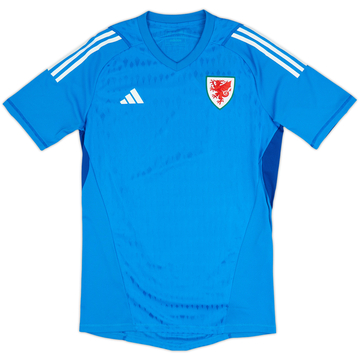2023-24 Wales GK Away Shirt