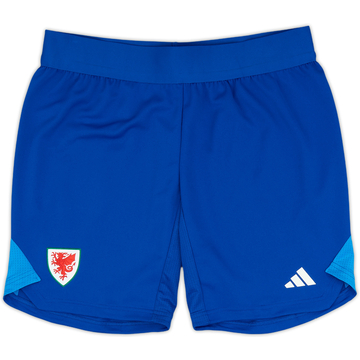 2023-24 Wales GK Away Shorts (Women's)