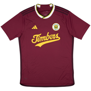 2024-25 Portland Timbers Third Shirt - 10/10 - (L)