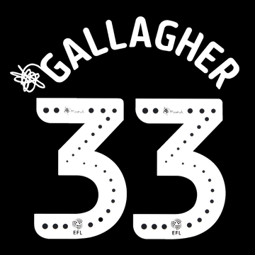 2019-20 Swansea City Away Gallagher #33 EFL Name Set