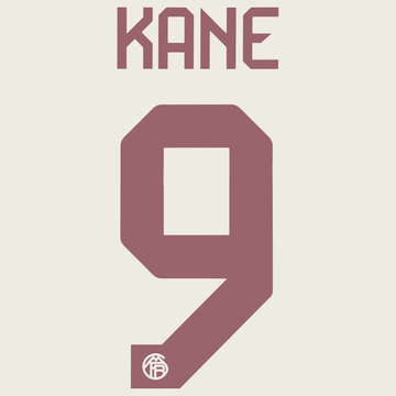 2023-24 Bayern Munich Third Kane #9 Name Set