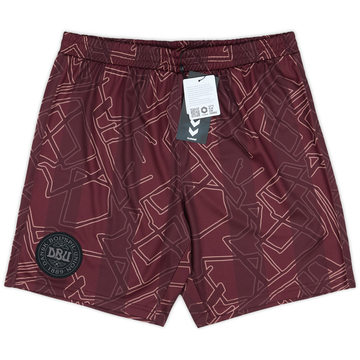 2024-25 Denmark Special Edition Hummel x Halo Shorts