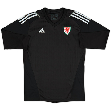 2023-24 Wales GK Third Shirt (Women's)