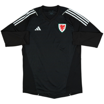 2023-24 Wales GK Third Shirt