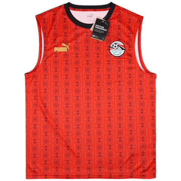 2023-24 Egypt Puma FtblCulture Vest