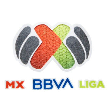 2024-25 Liga MX Player Issue Patch