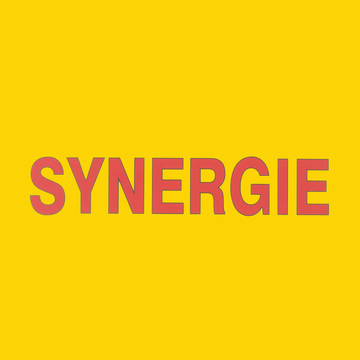 2014-22 Nantes Synergie Player Issue Sponsor