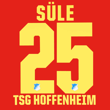 2016-17 Hoffenheim Third Sule #25 Name Set