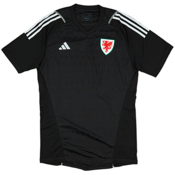 Camiseta de portero de la tercera equipación de Wales 2023-24